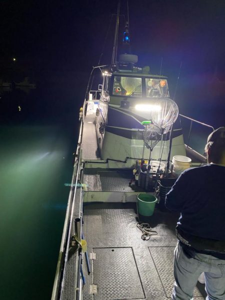 和歌山ティップラン