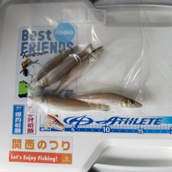 落ちギス狙いに