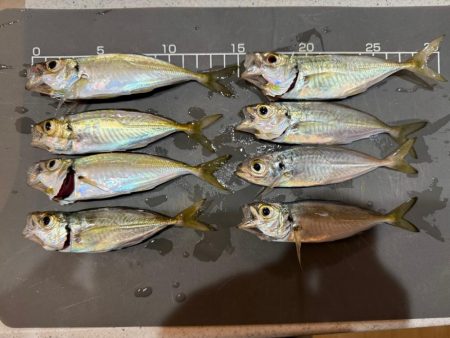 深夜の癒しの時間