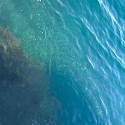 和歌山沖磯ロックショア