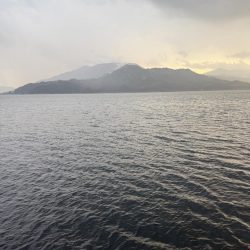 シオ、よく引きました