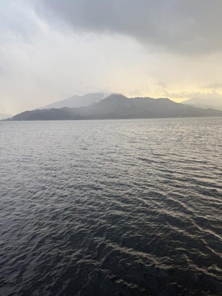 シオ、よく引きました