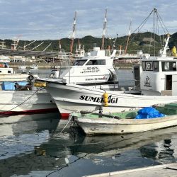 サワラカッター地獄