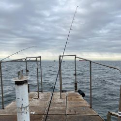 無限サゴシ再び…