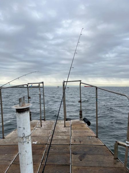 無限サゴシ再び…