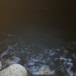 秋🦑　爆風エギング😅