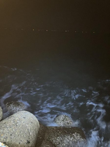 秋🦑　爆風エギング😅