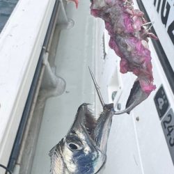 タチウオ/タチウオテンヤ