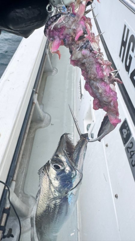 タチウオ/タチウオテンヤ