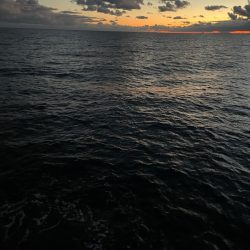 2025 佐渡ヶ島エギング Vol.38【10月24日】