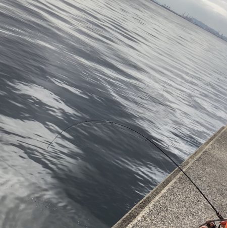 サバゲーでプラクティス