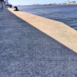 サバが沸いていた