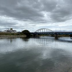 まだまだチヌトップ