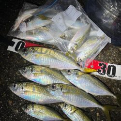 朝マズメ・夕マズメ