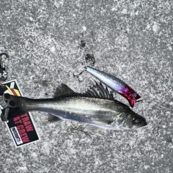 納得いかん…どゆこと？