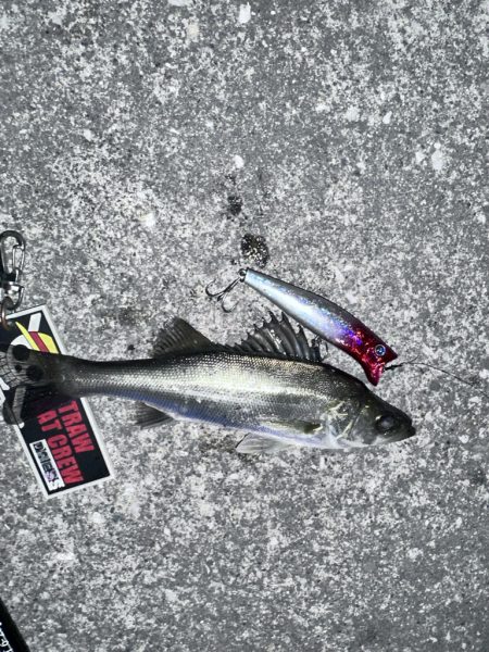 納得いかん…どゆこと？