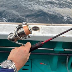 ティップラン和歌山