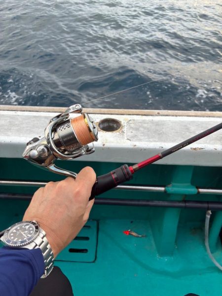 ティップラン和歌山