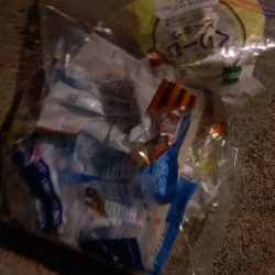 清掃活動：今季2度目のライトジギング