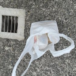 清掃活動：渋い‥