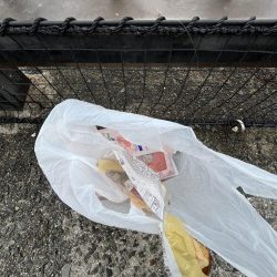 清掃活動：サビキの時期終了の使い現る