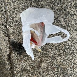 清掃活動：サビキ　冬の季節