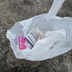 清掃活動：釣果も天気も寒い