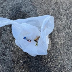 清掃活動：まサピキはは釣れそう？！