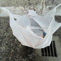 清掃活動：雨のあと