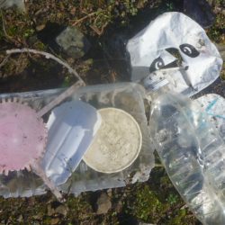 清掃活動：朝活バス