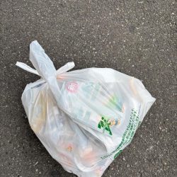 清掃活動：チヌ、グレ多数　エビ撒き