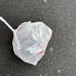 清掃活動：エビ撒きでセイゴゲット