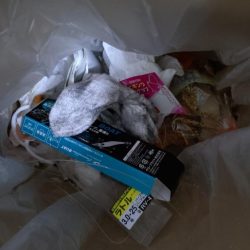 清掃活動：サイズアップティップラン