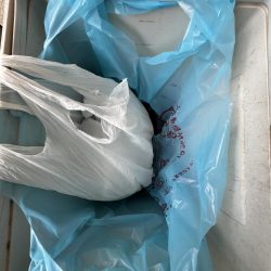 清掃活動：まだサビキはいけるはず‥