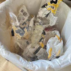 清掃活動：ファミリーフィッシング