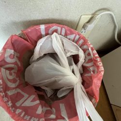 清掃活動：アジだけ好調