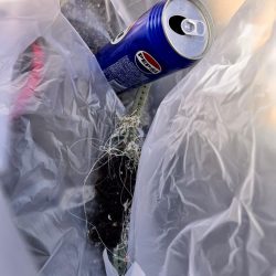 清掃活動：サバが沸いていた