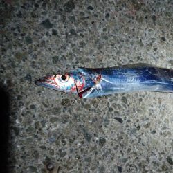 また一匹だけ…