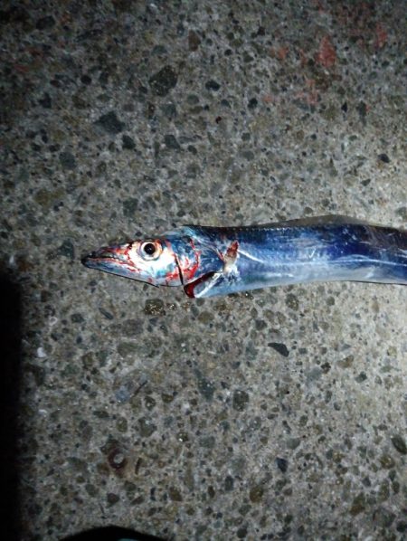 また一匹だけ…