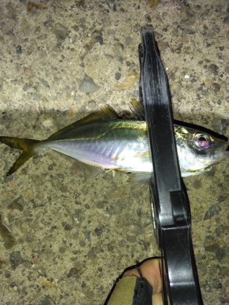 場所が変われば釣果も変わる？