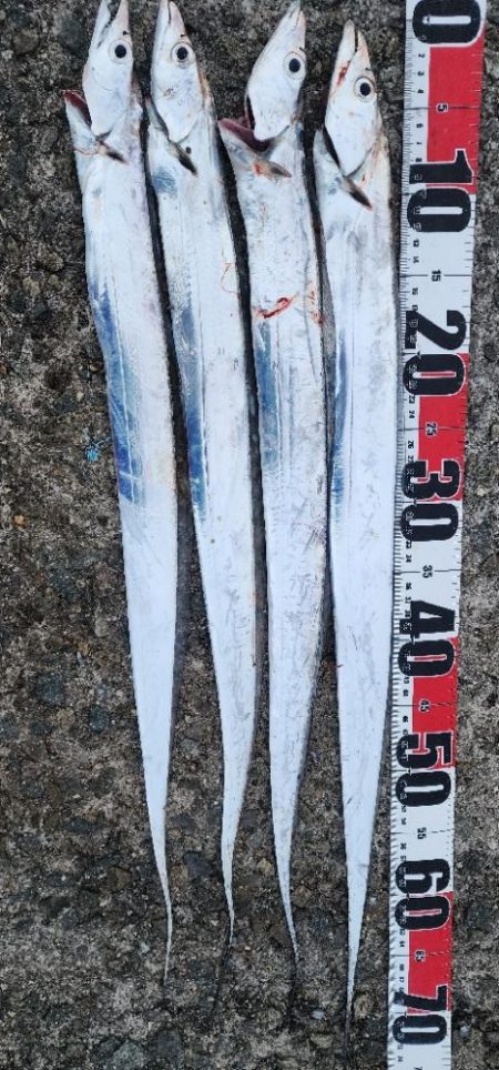 釣り易い釣れない魚