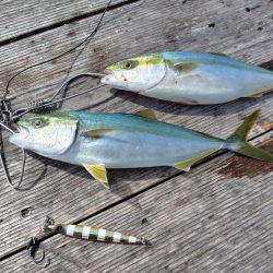 筏でショアジギング