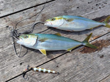 筏でショアジギング