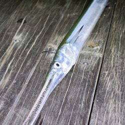 秋も深まり⋯⋯