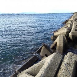 ダメダメの11月スタート