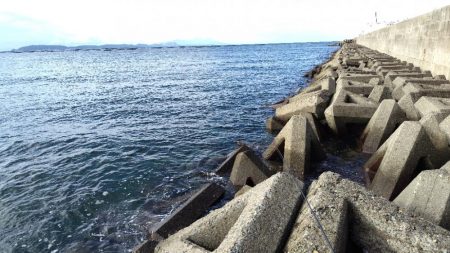 ダメダメの11月スタート