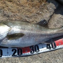 ポイント悪くなってはる？