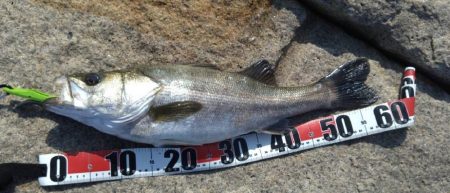 ポイント悪くなってはる？