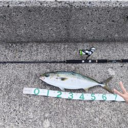 ㊗️初メジロおめでとう㊗️