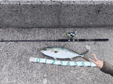 ㊗️初メジロお…